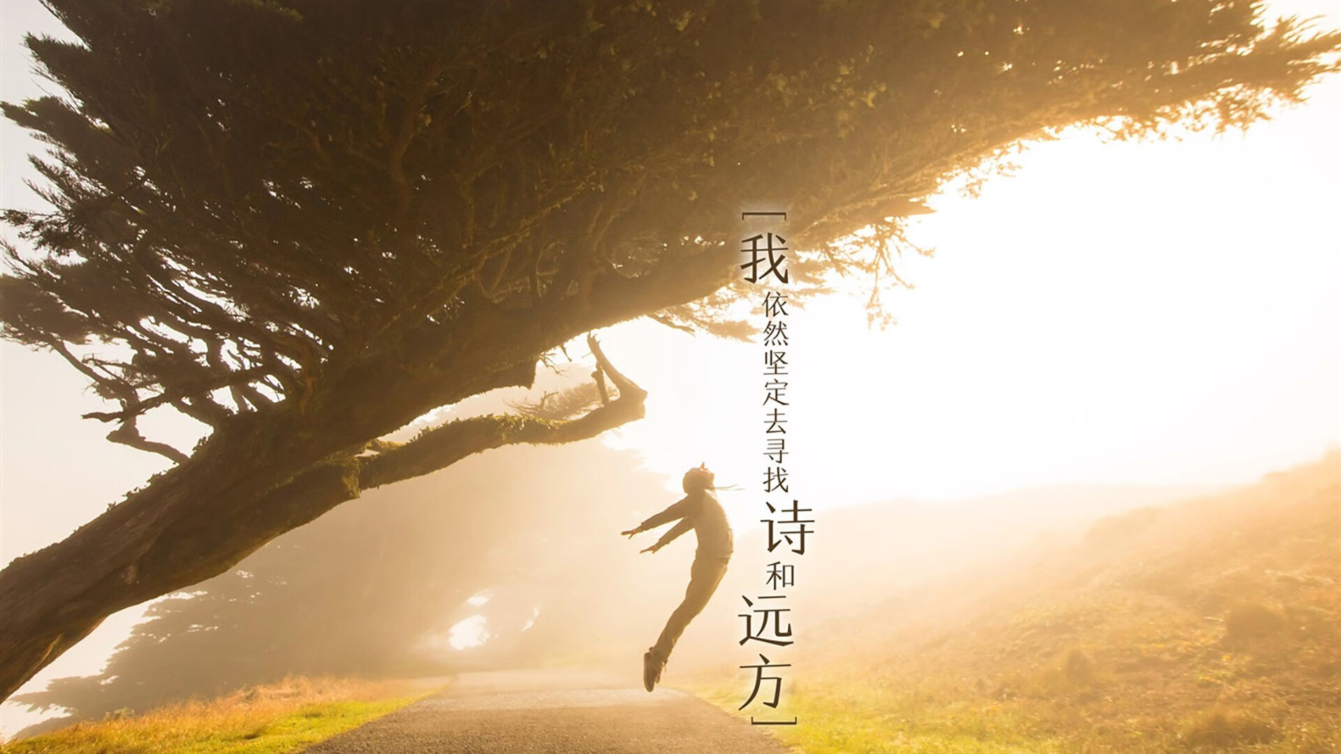 匈牙利心跳,汉密尔顿绝境制胜,威廉姆斯逆天翻盘红牛