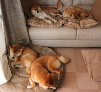 塞维利亚惊天逆转瑞士，阿尔瓦雷斯刷新纪录铸就传奇