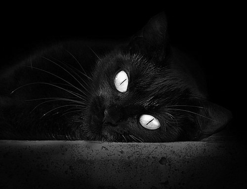 狭路相逢冰刀出鞘，奥恰洛夫率奥地利队撕裂蓝色长城