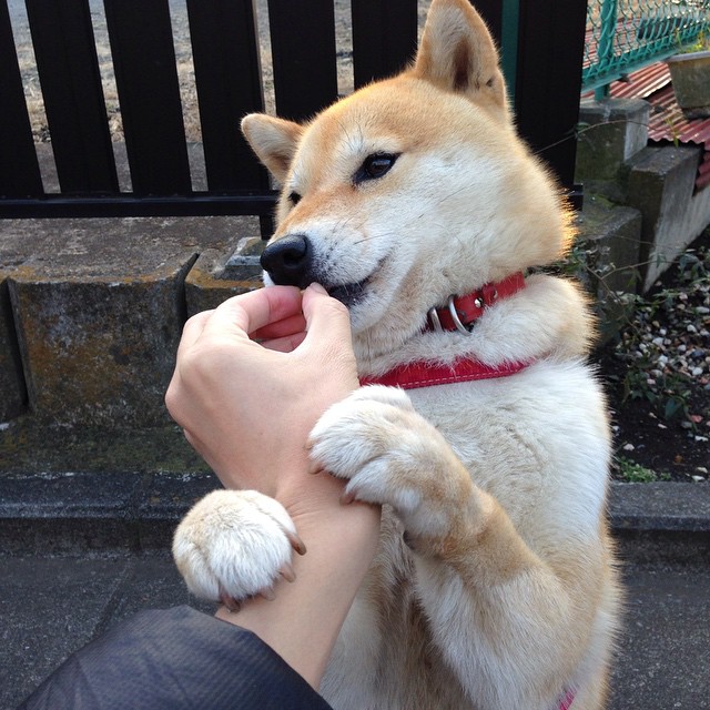 末节惊雷!爱德华兹化身冰火双星,广厦绝地逆转碾碎辽篮