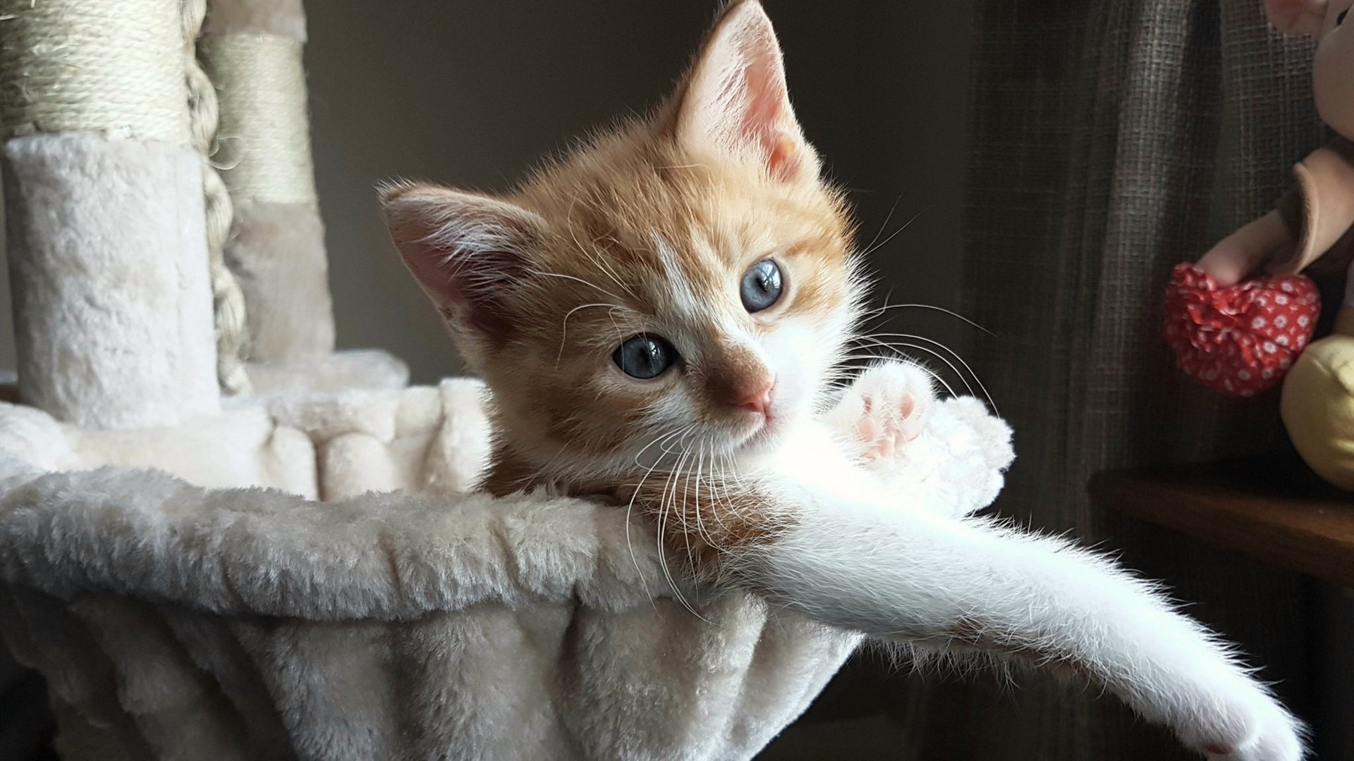 爵士鏖战雄鹿，莫兰特无愧大场面先生