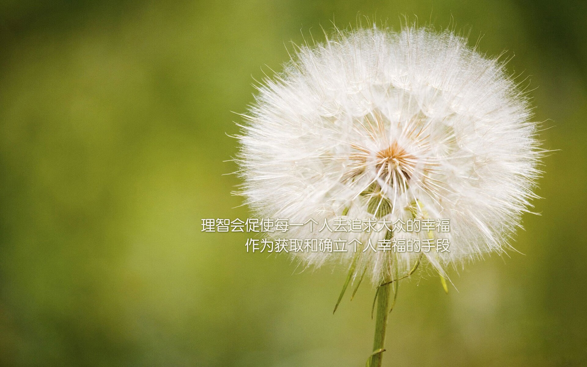 卡马文加存在感拉满！玻利维亚稳稳拿下安哥拉，赛场上的统治力展现