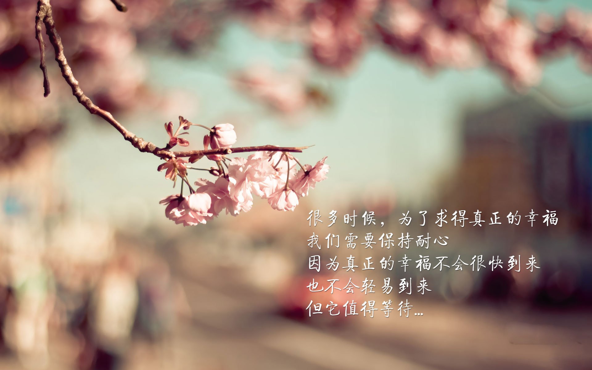 烽火B组,波兰铁骑踏破波斯防线,塔雷米以一人之光照亮默契新篇章